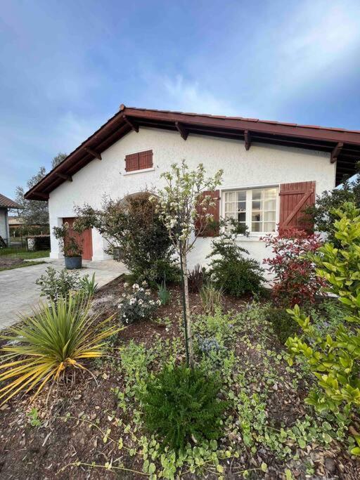 Agreable Maison Landaise Proche Du Lac Sanguinet Exterior foto