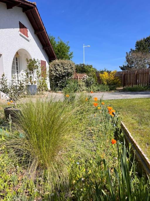 Agreable Maison Landaise Proche Du Lac Sanguinet Exterior foto